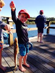 FISHING HIRE (includes, rod, tackle, soft plastics)